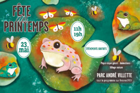 Agrandir l'image, fenêtre modale