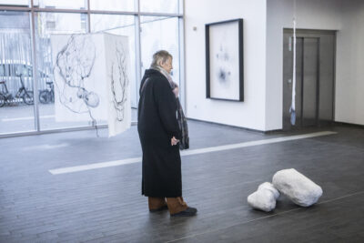 Agrandir l'image 3 sur 11, fenêtre modale