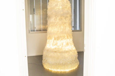 Agrandir l'image 6 sur 11, fenêtre modale