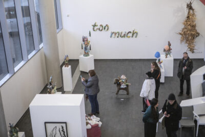 Agrandir l'image 11 sur 11, fenêtre modale