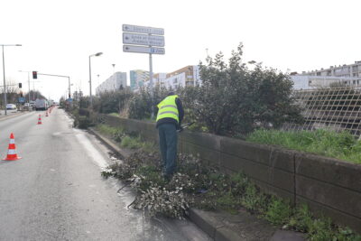 Agrandir l'image 5 sur 6, fenêtre modale