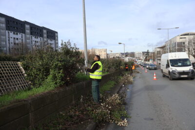 Agrandir l'image 1 sur 6, fenêtre modale