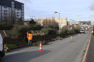 Agrandir l'image 6 sur 6, fenêtre modale