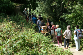 Agrandir l'image, fenêtre modale