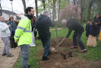 Agrandir l'image 9 sur 10, fenêtre modale