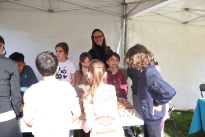 Agrandir l'image 10 sur 10, fenêtre modale