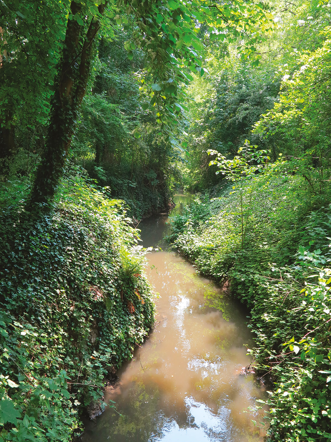 Agrandir l'image, fenêtre modale
