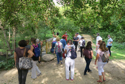 Agrandir l'image 2 sur 3, fenêtre modale