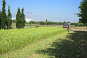 Agrandir l'image, fenêtre modale