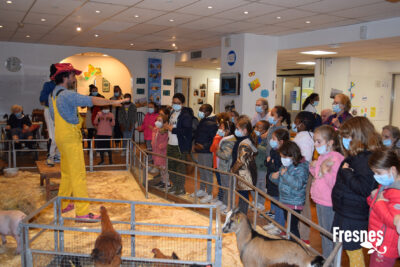 Agrandir l'image 2 sur 3, fenêtre modale