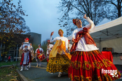 Agrandir l'image 1 sur 7, fenêtre modale