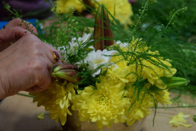 Agrandir l'image 4 sur 4, fenêtre modale