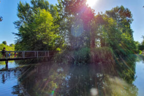 Agrandir l'image, fenêtre modale