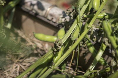 Agrandir l'image 3 sur 10, fenêtre modale