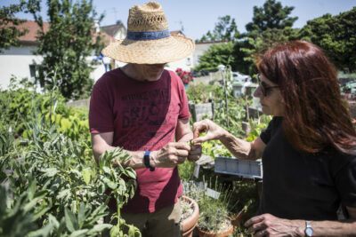 Agrandir l'image 4 sur 10, fenêtre modale