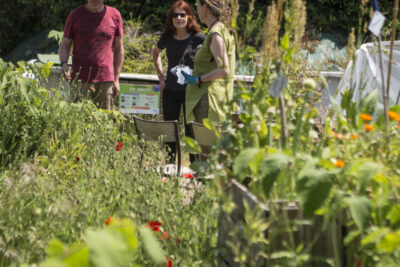 Agrandir l'image 1 sur 10, fenêtre modale