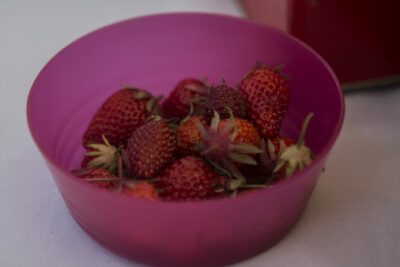 Agrandir l'image 5 sur 10, fenêtre modale