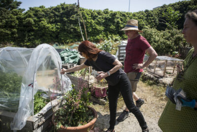 Agrandir l'image 2 sur 10, fenêtre modale