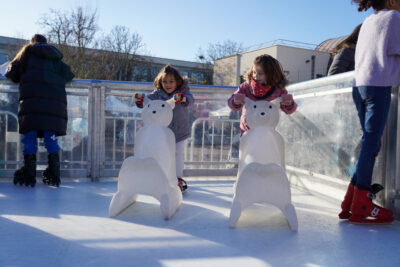 Agrandir l'image 5 sur 20, fenêtre modale