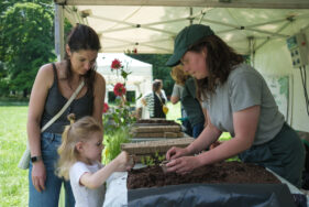 Agrandir l'image, fenêtre modale