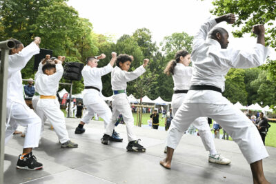 Agrandir l'image 7 sur 17, fenêtre modale