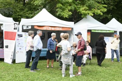 Agrandir l'image 12 sur 17, fenêtre modale