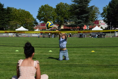 Agrandir l'image 8 sur 15, fenêtre modale
