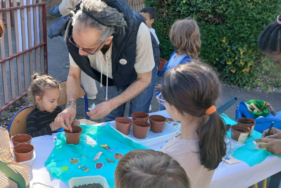 Agrandir l'image, fenêtre modale