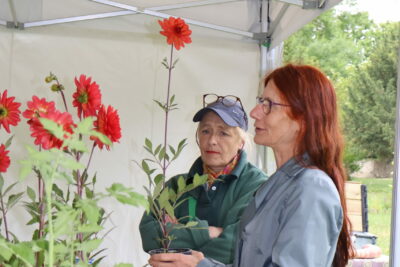 Agrandir l'image 1 sur 3, fenêtre modale