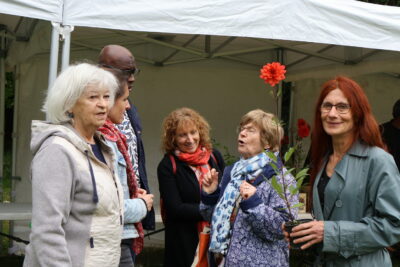 Agrandir l'image 7 sur 17, fenêtre modale