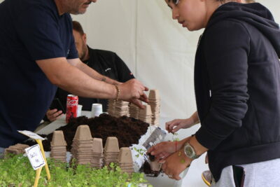 Agrandir l'image 14 sur 17, fenêtre modale