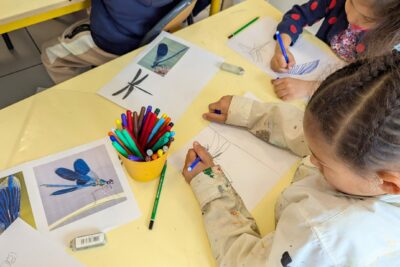 Agrandir l'image 6 sur 10, fenêtre modale