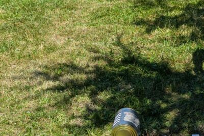 Agrandir l'image 7 sur 10, fenêtre modale