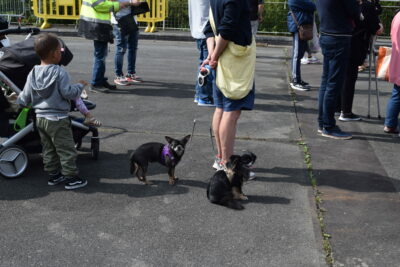 Agrandir l'image 5 sur 8, fenêtre modale