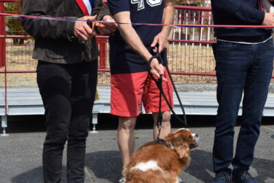 Agrandir l'image 2 sur 8, fenêtre modale