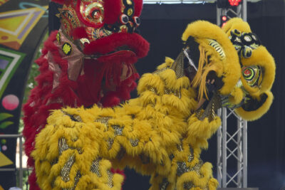 Agrandir l'image 8 sur 25, fenêtre modale