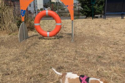 Agrandir l'image 4 sur 8, fenêtre modale