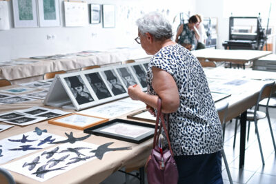 Agrandir l'image 8 sur 10, fenêtre modale