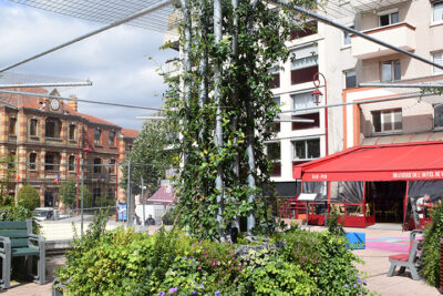 Agrandir l'image 3 sur 3, fenêtre modale