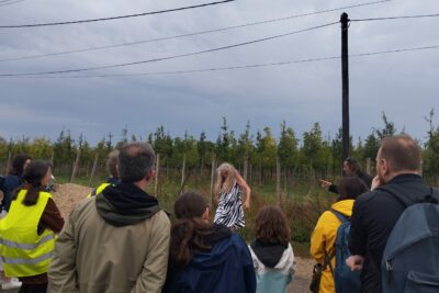 Agrandir l'image 8 sur 8, fenêtre modale