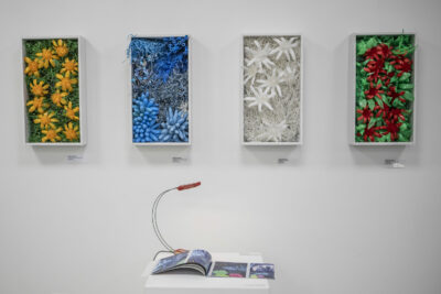 Agrandir l'image 3 sur 17, fenêtre modale