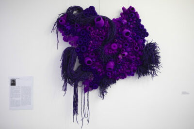 Agrandir l'image 5 sur 17, fenêtre modale