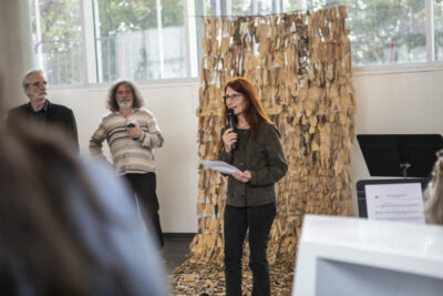 Agrandir l'image 7 sur 17, fenêtre modale