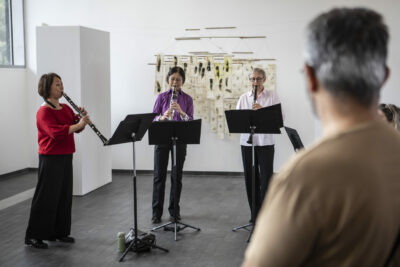 Agrandir l'image 1 sur 17, fenêtre modale