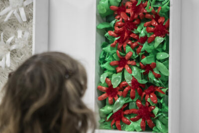 Agrandir l'image 14 sur 17, fenêtre modale