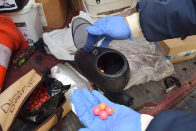 Agrandir l'image 1 sur 6, fenêtre modale