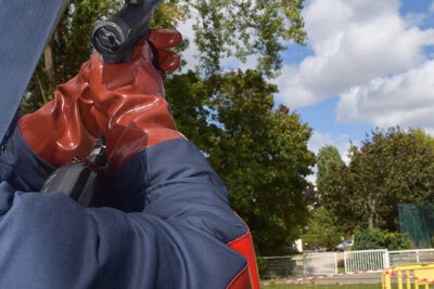 Agrandir l'image 3 sur 6, fenêtre modale