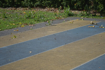 Agrandir l'image 6 sur 6, fenêtre modale