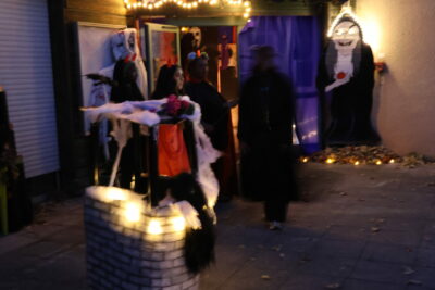 Agrandir l'image 1 sur 10, fenêtre modale